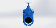 비 상승하는 줄기 부드러운 밀폐 게이트 밸브 EN1074-2 마모 저항력