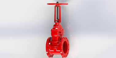 클래스 125/150 플랜지 EPDM 밀폐